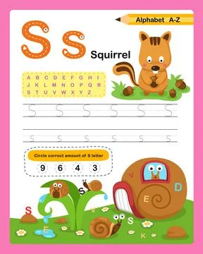 Alphabet Letter S - Squirrel exercise with cartoon vocabulary illustration, v Stock Illustration