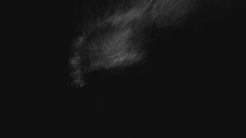 Alphabet letter Z inside a circular frame with dispersing motion particles Stock Footage 343575714