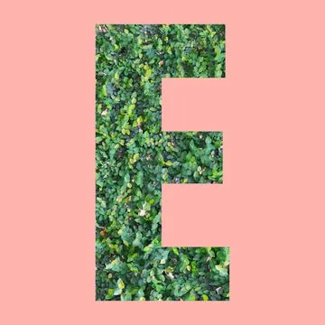 Alphabet letters of shape E in green leaf style on pastel pink background. Stock Photos