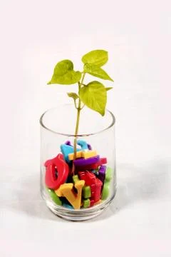 Alphabet Stock Photos