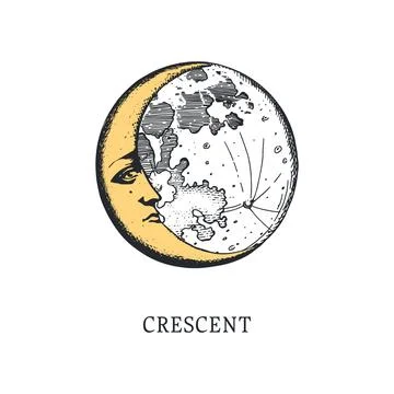 Alphabet vector illustration. Stock Illustration