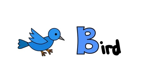 Alphabets series with object from A to E animation video good for education Stock Footage 245993030