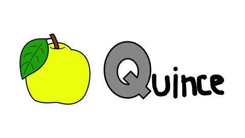 Alphabets series with object from P to T animation video good for education.. Stock Footage 247281896