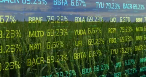 Alphanumeric overlay updating and scrolling over crop field, triggered by data Stock Footage 320650703