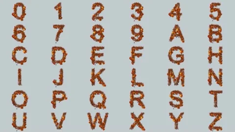 Alphaween Helloween Alphabet for After Effects After Effects stock