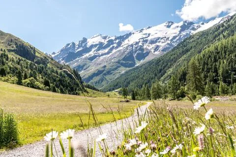 Alpin path in Vallelunga (Italian: Vallelunga, German: Langtaufers) is a vall Stock Photos