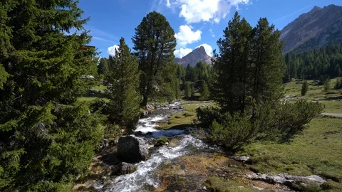 Alpin river through the valley Stock Footage 97721962