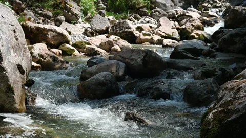 Alpine and Rocky Mountain Stream in Summer Stock-Footage 260813540