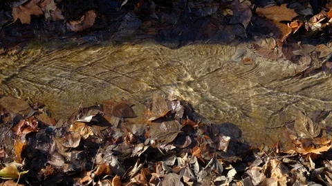 Alpine Brook Flowing Over Smooth Bedrock Stock Footage 121410628