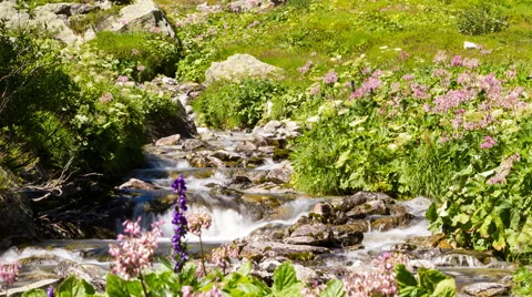 Alpine cascading rivulet time lapse Видео 68892110