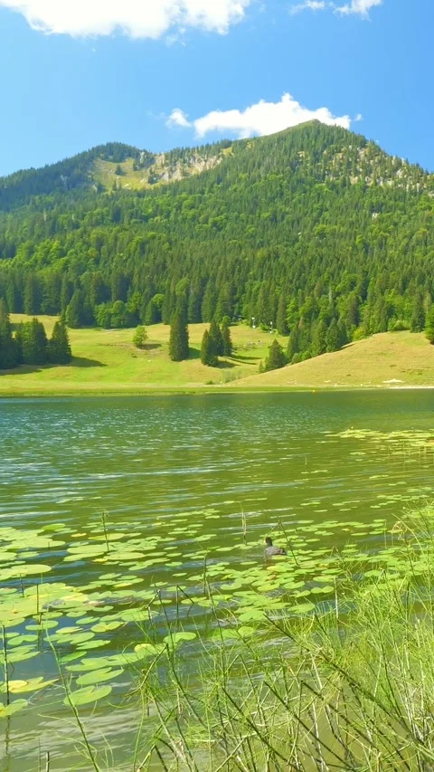 Alpine Charm at Spitzingsee  Hiking, Relaxing, and Enjoying Nature Stock Footage 308299366