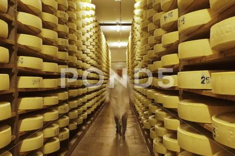 Alpine Cheese In A Storage Room At A Dairy In Walchsee, Tyrol, Austria