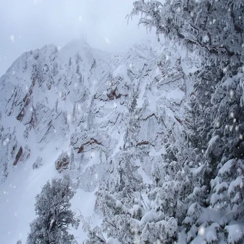 Alpine falling snow in winter mountains – seamless loop, 4K 動画素材 69389594