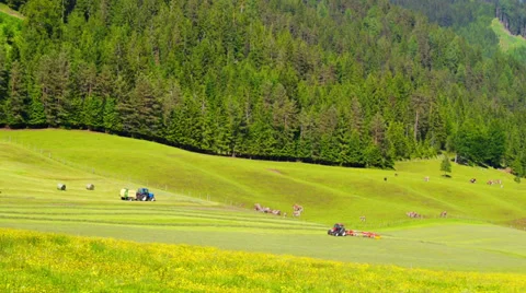 Alpine farming Stock Footage 27968772