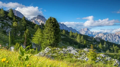 Alpine Flowers and Clouds over the Mountains. Time Lapse Видео 106452983