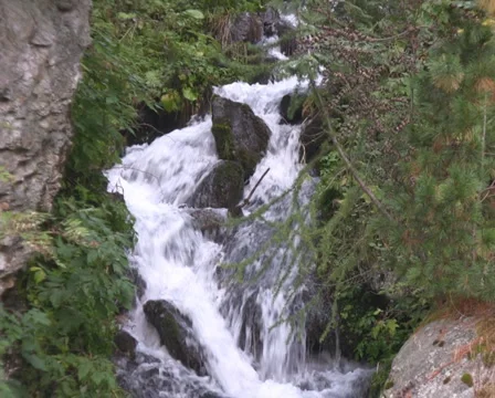 Alpine Stock Footage 1040608