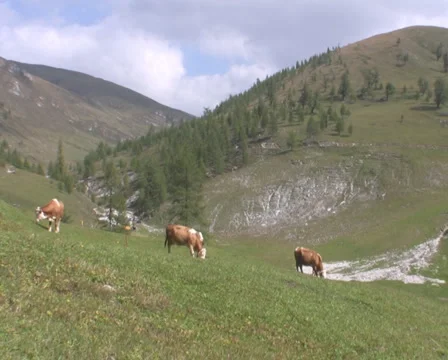 Alpine Stock Footage 1040650