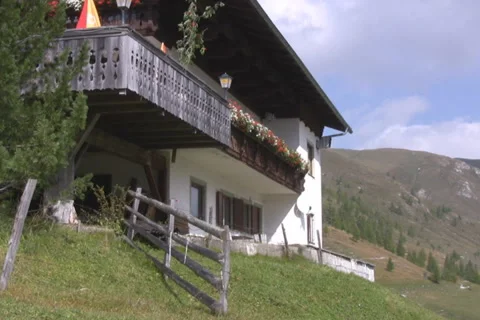 Alpine Video stock 1044068
