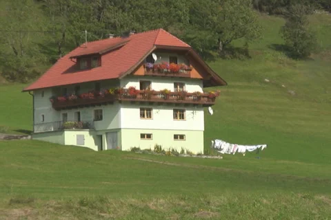 Alpine Stock Footage 1044369