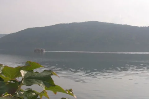 Alpine Stock Footage 1044434