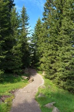 Alpine footpath Stock Photos