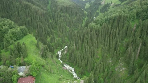 Alpine forest and fast river Stock Footage 197834177