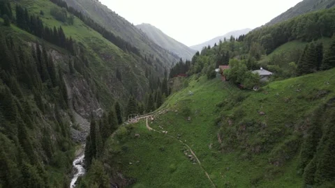 Alpine forest and fast river Stock Footage 197836425