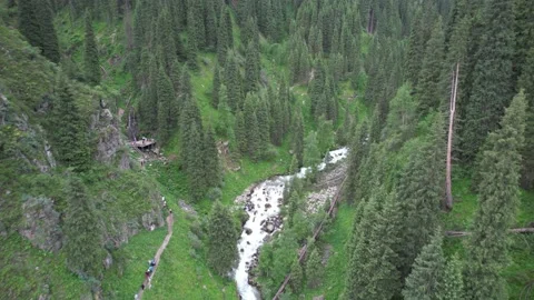 Alpine forest and fast river Stock Footage 197836435