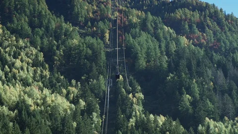 Alpine Forest In Autumn With Cable Car Hanging From Overhead Cables Stock Footage 86249631