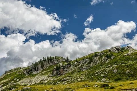 Alpine Forest Layers Stock Photos