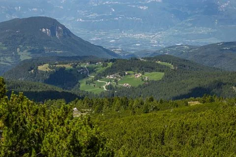 Alpine Forest Layers Stock Photos