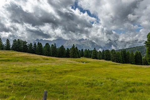 Alpine Forest Layers Stockfoto's