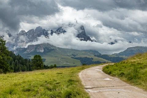 Alpine Forest Layers Stock Photos