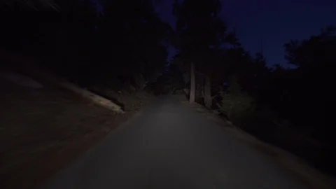 Alpine Forest Narrow Road At Night Driving Plate Rear View 01 Vidéo 118974898