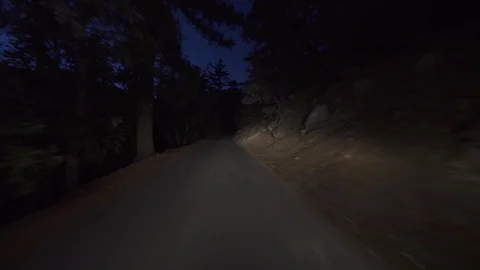 Alpine Forest Narrow Road At Night Driving Plate Rear View 02 Vidéo 118976418