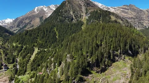 Alpine Forest Slopes Stretching Towards Mountain Basin Video stock 343340629