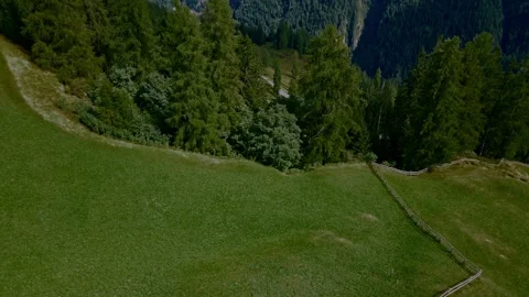 Alpine grass  field and mountain forest Stock Footage 285091538