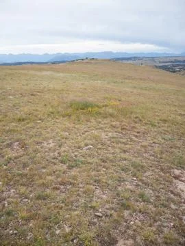 Alpine Grassland Stock Photos