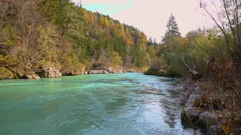 Alpine green river flowing downstream surrounded with colorful forest Video stock 143345582