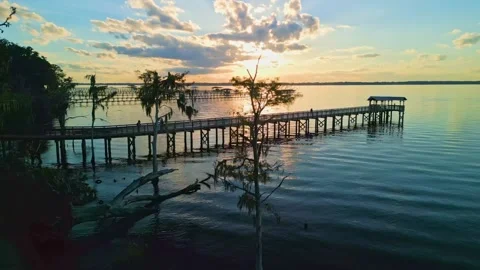 Alpine Grove Sunset 動画素材 300132940