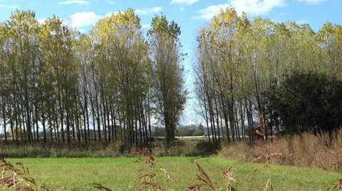 Alpine highway Video stock 33391755