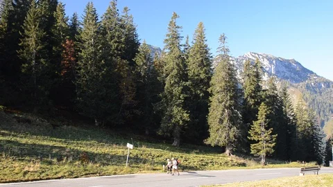 Alpine Hikers on Alpine Road Video stock 111292856