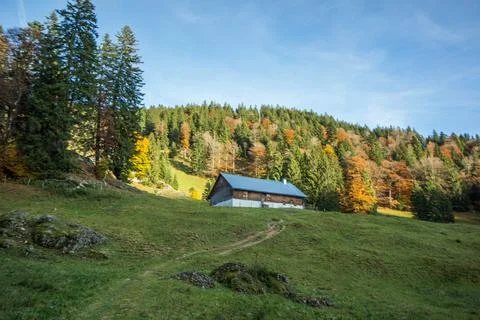 Alpine hut on mountain besides forest Stock Photos
