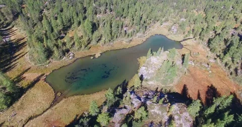 Alpine lake and forest in mountain - Aerial view Stock Footage 68089648