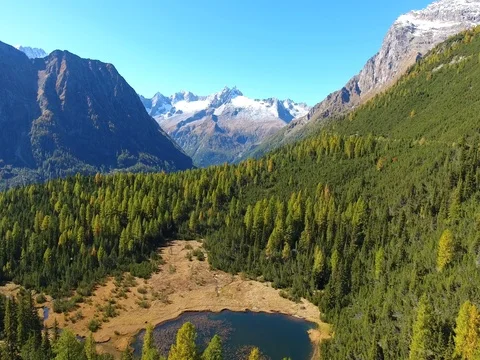 Alpine lake and forest in mountain, aerial view over the trees Stock Footage 80903024
