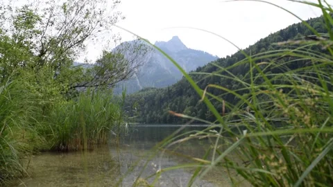 Alpine lake landscape Stock Footage 149054498