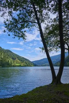 Alpine lake tree sky clouds summer Afritz am See Villach Carinthia Austria 스톡 사진
