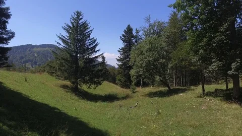 Alpine Landscape 1 Stock Footage 115432797