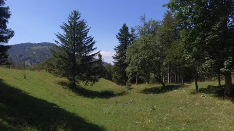 Alpine Landscape 2 Stock Footage 115433304