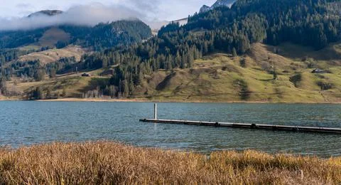 Alpine landscape composed of forests and pastures, photographed from the shore Stock Photos